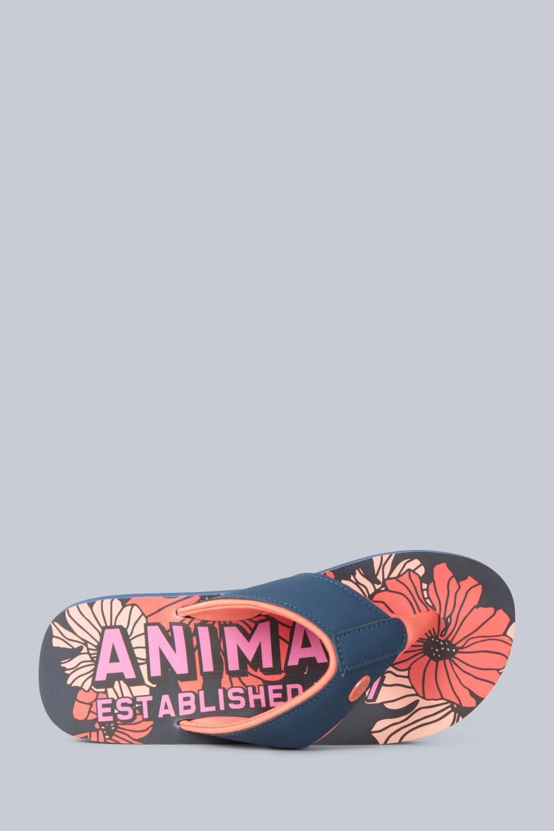 Animal Sandals | Womens Swish Recycled Flip Flops Pink