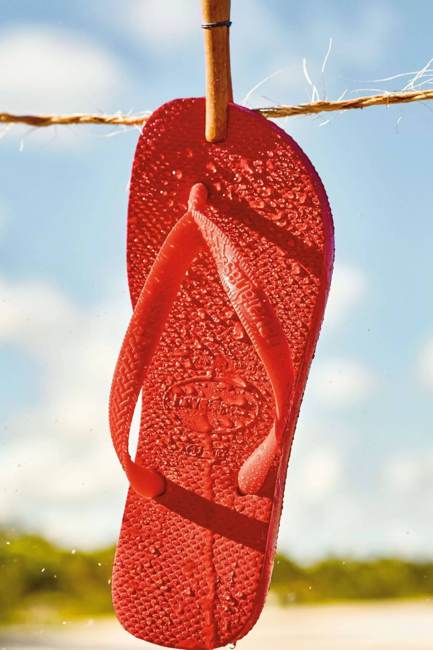 Havaianas Sandals | Sandals Orange