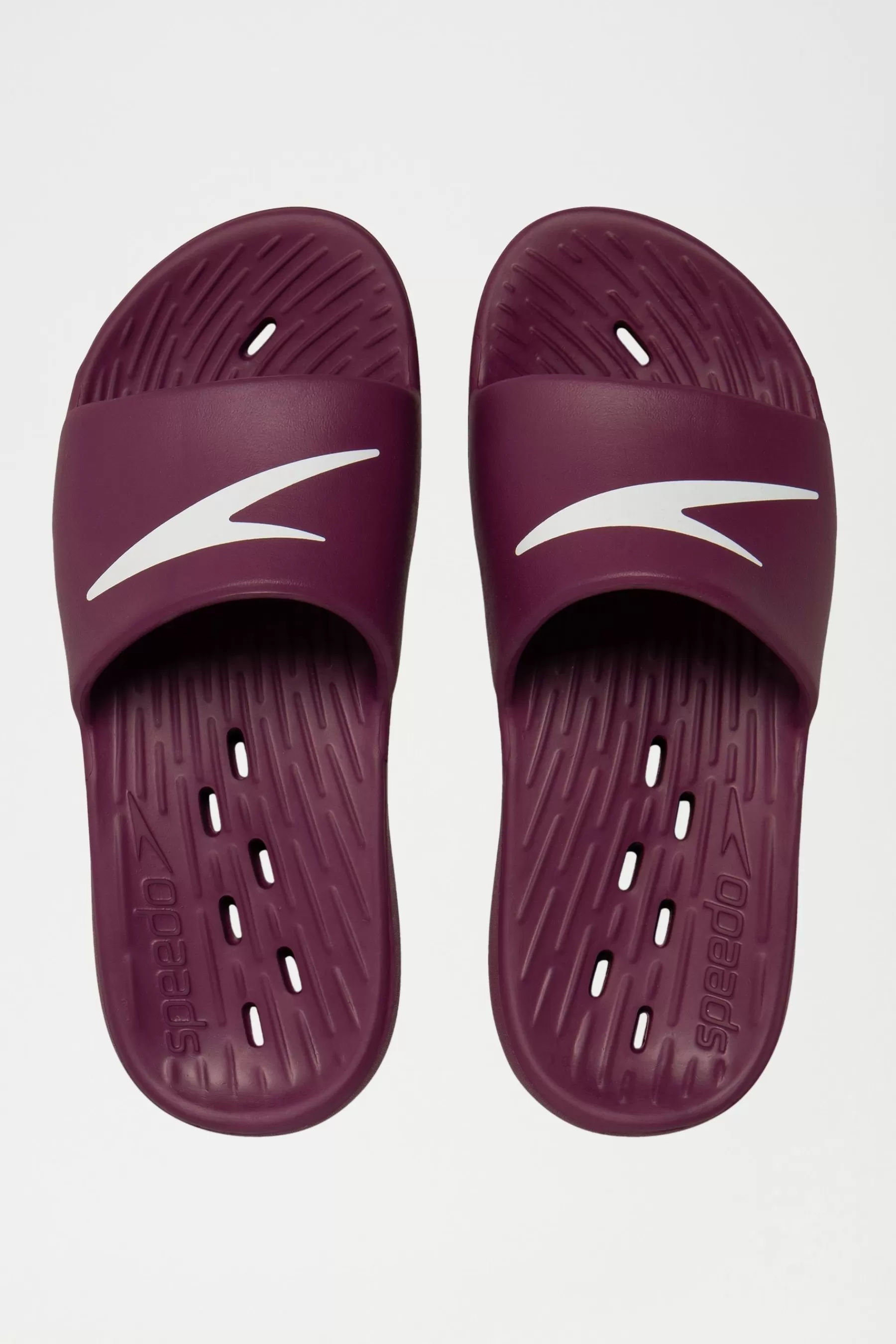 Speedo Sandals- Womens Slides Purple